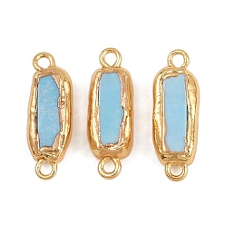 Золотой Подвески-соединители из натурального гальванизированного окрашенного хаулита, с латунной фурнитурой , прямоугольные, голубой, золотые, 21~22x7.5x4~4.5 мм, отверстие : 1.8 мм