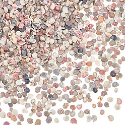 (52) Непрозрачная лаванда Мини-бусины из натуральных ракушек, неочищенные / без отверстий, для diy craft, разноцветные, 3~7 мм, 1356 шт / комплект