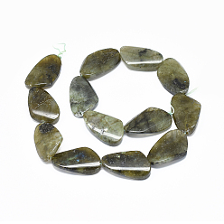 Labradorite Natural Labradorite Beads Strands, teardrop, 29~30x18~18.5x5.5~6.5mm, Hole: 1.2mm, about 13pcs/strand, 14.9 inch(38cm)
