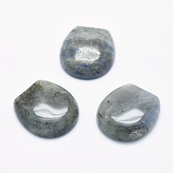 Labradorite Natural Labradorite Cabochons, 22x20x6~6.5mm
