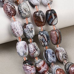 Седло Коричневый Природные пожары треск агат бисер нитей, окрашенная и подогревом, баррель, с бисером, седло коричневый, 15.5~16x11.5~12 мм, отверстие : 1.2~1.4 мм, около 19 шт / нитка, 15.55''~15.75'' (39.5~40 см)