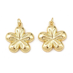 Настоящее золото 18K Латунные подвески, с целью перехода в кольце, , без свинца и без кадмия, долговечный, стойки покрытие, реальный 18 k позолоченный, 22x19.5x3.5 мм, отверстие : 3.4 мм