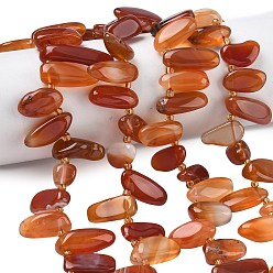 Red Agate Натуральный красный агат бисер нитей, самородки, Топ пробуренной, с бисером, упавший камень, 12~26x6.5~10 мм, отверстие : 0.7~1 мм, около 37~39 шт / нитка, 14.96'' (38 см).