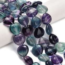 Флюорит Природного флюорита бисер нитей, сердце, 13.5~14x14.5x7.5 мм, отверстие : 1 мм, около 30 шт / нитка, 15.98'' (40.6 см)