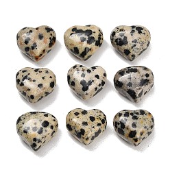 Dalmatian Jasper Natural Dalmatian Jasper Beads, Heart, 11x12~13x8mm, Hole: 1.4~1.8mm