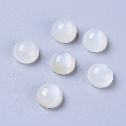 White Moonstone Кабошоны из натурального белого лунного камня, полукруглые / купольные, 8x4~5 мм