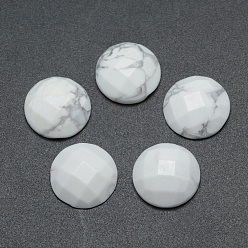 Howlite Natur howlite Cabochons, facettiert, Halbrund, 14~14.5x5 mm