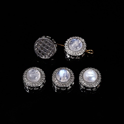 Rainbow Moonstone Бусины из натурального радужного лунного камня, Сплав плоские круглые бусины, платина, 10x7 мм