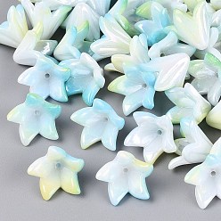Green Yellow Two Tone Opaque Plastic Beads, Flower, Rainbow Plated, Green Yellow, 15.5x16x12.5mm, Hole: 1.4mm, about 877pcs/500g
