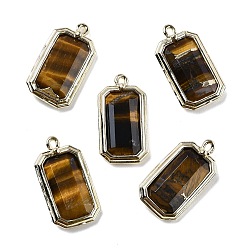 Тигровый глаз Естественные тигренок, с золотой латуни нахождения, прямоугольник амулеты, граненые, 20.5x11x3.5 мм, отверстие : 1.2 мм