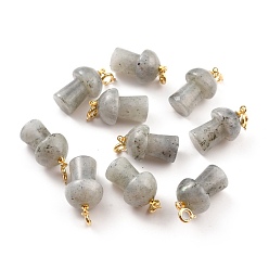 Лабрадорита Природные подвески лабрадорита, с латунной фурнитурой платинового цвета, гриб, 33 мм