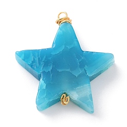 Светло-Голубой Природные Агат бисера подвески, окрашенные, с золотыми латунными петлями, звезда, Небесно-голубой, 28~30x26~29x6~7 мм, отверстие : 1~2.5 мм