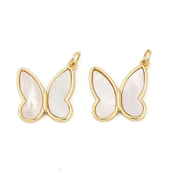 Бабочка Подвески из латуни с натуральными белыми ракушками, реальный 18 k позолоченный, с прыжковых колец, без кадмия и без свинца, долговечный, стойки покрытие, бабочка, 18.5x18x2.5 мм, отверстие : 3.5 мм