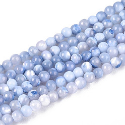 Васильковый Нити бусин из окрашенных натуральных ракушек трохид/трохус, круглые, васильковый, 2x1.7 мм, отверстие : 0.3 мм, около 225~229 шт / нитка, 15.04~15.35'' (38.2~39 см)