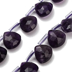 Аметист Природный аметист нитей бисера, Грановитая Teardrop, с пластиковыми трубчатыми бусинами, 12x12~12.5x5.5~6 мм, отверстие : 1 мм, около 28 шт / нитка, 15.75 дюйм (40 см)