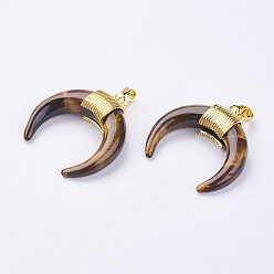 Тигровый глаз Природных тигровый глаз подвески, с латунной фурнитурой золотого цвета, двойной рог / полумесяц, 32~34x30~33x8.5 мм отверстие: 5x7 мм