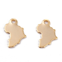 Настоящее золото 18K 201 прелести нержавеющей стали, лазерная резка, карта, реальный 18 k позолоченный, 12.5x9x0.5 мм, отверстие : 1.5 мм