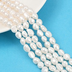 Морская Ракушка Нити из натурального культивированного пресноводного жемчуга, двух сторон полированной, класс 6, цвет морской раковины, 7~8 мм, отверстие : 0.6 мм, около 36~37 шт / нитка, 13.54~13.82'' (34.4~35.1 см)