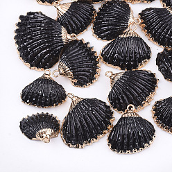Black Spray Paint & Electroplate Sea Shell Pendants, with Iron Findings, Light Gold, Black, 16~26x17~28x7~10mm, Hole: 2mm