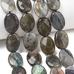 Лабрадорита Природные лабрадорита бисер нитей, граненые, Плоско-овальные, 20x15x6 мм, отверстие : 1.2 мм, около 19 шт / нитка, 14.96'' (38 см)