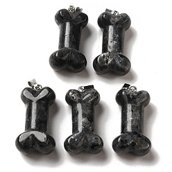 Лабрадорита Натуральные черные лабрадоритовые подвески, Подвески из собачьей кости с платиновыми железными застежками на поручнях, 36~37x19.5~21x11~12.5 мм, отверстие : 7x4 мм