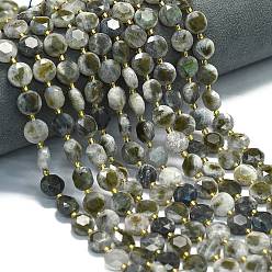 Лабрадорита Природные лабрадорита бисер нитей, граненый шестиугольный разрез, плоско-круглые, с бисером, 10~10.5x6 мм, отверстие : 1 мм, около 31~32 шт / нитка, 15.35''~15.55'' (39~39.5 см)