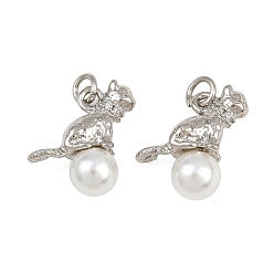 Платина Латунные микро проложить кубического циркония подвески, подвески в форме кошки, с искусственным жемчугом из АБС-пластика и прыгающим кольцом, стойки покрытие, долговечный, без свинца и без кадмия, платина, 14.5x11.5x6 мм, отверстие : 2.5 мм