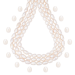 Beige 3 Strands Natural Cultured Freshwater Pearl Beads Strands, Oval, Beige, 7.5~11x6.5~7mm, Hole: 0.8mm, about 39pcs/strand, 13.58 ~14.29''(34.5cm~36.3cm)