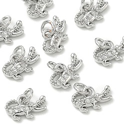 Real Platinum Plated SHEGRACE Brass Micro Pave Clear Cubic Zirconia Pendants, Cadmium Free & Nickel Free & Lead Free, Crocodile Charms, Real Platinum Plated, 6.5x10x2.5mm, Hole: 2.5mm