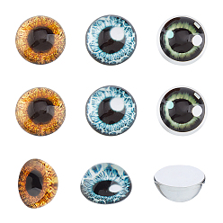 Mixed Color Glass Cat Eye Decorative Eye Piece, Half Round, Mixed Color, 30x15mm