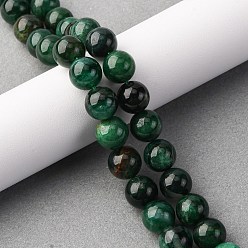 Fuchsite Бусины из натурального фуксита, круглые, 10 мм, отверстие : 0.6 мм, около 39 шт / нитка, 15.63'' (39.7 см)