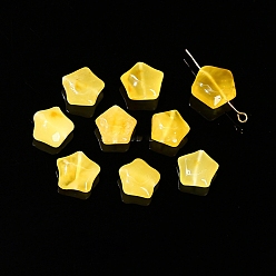 Звезда Резные бусины из натурального пчелиного воска, звезда, 13.5 мм