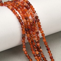 Red Agate Натуральный красный агат бисер нитей, круглые, граненые, 2~2.5 мм, отверстие : 0.5 мм, около 83~90 шт / нитка, 7.64'' (19.4 см)