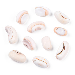 Seashell Color Natural Shell Beads, Freshwater Shell Nuggets Beads, Seashell Color, 8~21x6.5~12x5~12mm, Hole: 1.2mm