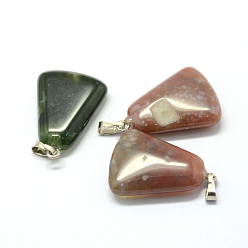 Indian Agate Trapezoid Natural Indian Agate Pendants, with Platinum Tone Brass Findings, 24~25.5x16.5~17x5~6mm, Hole: 2x7mm