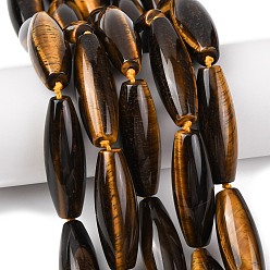 Тигровый глаз Природных тигровый глаз бисер нитей, рис, 40.5~41.5x14~14.5 мм, отверстие : 1.2 мм, около 9 шт / нитка, 15.20''~15.55'' (38.6~39.5 см)