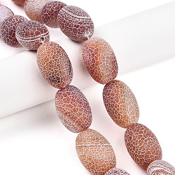 Перу Естественные выветрившиеся агатовые бусины, окрашенные, баррель, Перу, 27~30x18~22 мм, отверстие : 2~3 мм, около 12 шт / нитка, 12.99~13.78 дюйм (33~35 см)