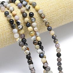Природный Драгоценный Камень Натуральные дендритные опаловые бусины нити, круглые, 6 мм, отверстие : 0.8~0.9 мм, около 66~69 шт / нитка, 15.16''~15.47'' (38.5~39.3 см)