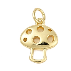 Настоящее золото 18K Латунь прелести, гриб, с целью перехода в кольце, без кадмия и без свинца, стойки покрытие, долговечный, реальный 18 k позолоченный, 14x11.5x3 мм, отверстие : 3.4 мм