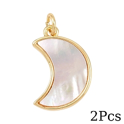 Луна 2Подвески из натуральных белых ракушек, с латунной, реальный 18 k позолоченный, с прыжковых колец, долговечный, без свинца и без кадмия, стойки покрытие, белые, луна, 19x13x2 мм, отверстие : 3 мм