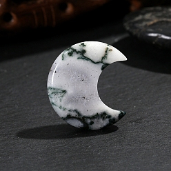 Древесный агат Массажер из натурального дерева агат пальмовый камень, Камень беспокойства для терапии беспокойства, луна, 30x25x8 мм