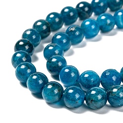 Apatite Round Natural Apatite Beads Strands, Grade A, 8mm, Hole: 1mm, about 51pcs/strand, 15.7 inch