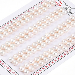Кремово-белый Сорт 3бусины из натурального культивированного пресноводного жемчуга, половине просверлил, полукруглые бусины, кремово-белые, 5.5~6x4~4.5 мм, отверстие : 1 мм