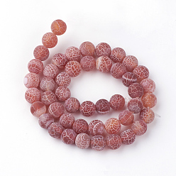 Indian Red Natural Fire Crackle Agate Bead Strands, Frosted, Dyed, Round, Indian Red, 6mm, Hole: 1.5mm, about 63pcs/strand, 15.7 inch