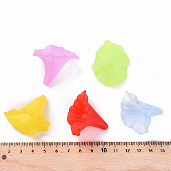 Mixed Color Transparent Acrylic Beads, Calla Lily, Frosted, Mixed Color, 40.5x33x35mm, Hole: 1.8mm, about 135pcs/500g