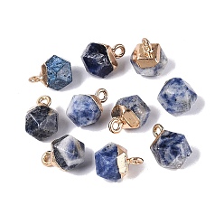 Blue Spot Jasper Natural Blue Spot Jasper Pendants, Polygon Charms, with Golden Tone Brass Loops, 11.5~14x7~9.5x7~9.5mm, Hole: 1.6~1.8mm