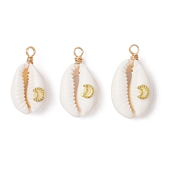 Луна Подвески из натуральной ракушки каури, обмотанной медной проволокой, с латунными пластинами, золотые, луна, 24~28x12~15.5x7~8.5 мм, отверстие : 2.6 мм