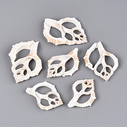 Морская Ракушка Естественно оболочки большие кулоны, подвески из кусочков ракушек, цвет морской раковины, 41~56x30~41x5~8 мм, отверстие : 10~12x15~20 мм