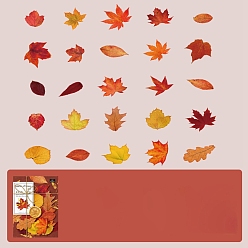 Оранжево-Красный 50шт. бумажные наклейки с изображением кленового листа, самоклеящиеся наклейки, для чемодана, скейтборде, холодильник, шлем, оранжево-красный, 57~104.5x33~95x0.1 мм