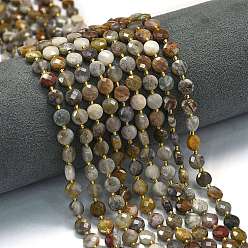 Гобийский агат Натуральные нити бусин агата, с бисером, граненый ромб, плоско-круглые, 6~6.5x4 мм, отверстие : 0.6 мм, около 51 шт / нитка, 15.43'' (39.2 см)
